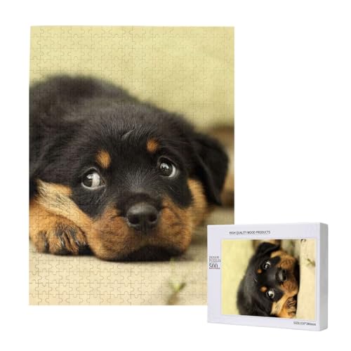 Rottweiler Hunde Süße Hunde Welpen Haustiere Klein, 500 Teile Puzzle Holzpuzzle Spielzeug Familienspiel Wanddekoration für Erwachsene Teenager von KEDDJI