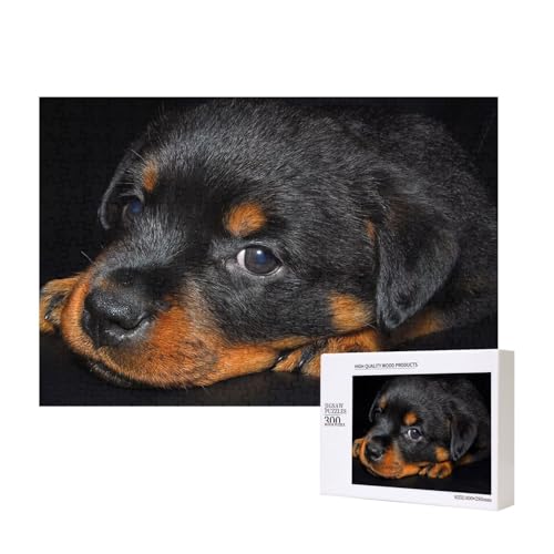 Rottweiler-Welpen, Haustiere, kleine Rottweiler-Hunde, Puzzle 300 Teile Holzpuzzle Spielzeug Familienspiel Wanddekoration für Erwachsene Teenager von KEDDJI