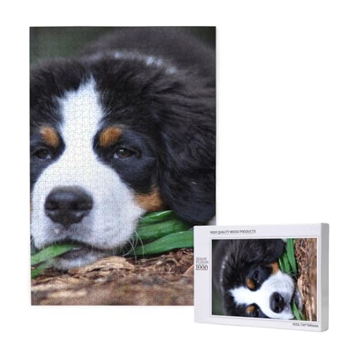 Schöner Berner Sennenhund, Puzzle 1000 Teile, Holzpuzzle, Spielzeug, Familienspiel, Wanddekoration für Erwachsene und Teenager von KEDDJI