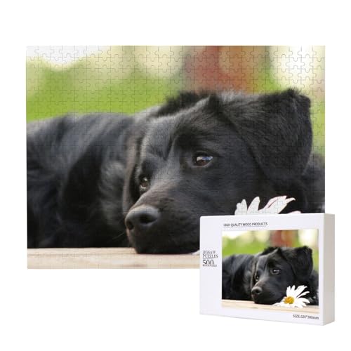 Schwarzer Labrador Kamille Schwarz Retriever Hunde, Puzzle 500 Teile, Holzpuzzle, Spielzeug, Familienspiel, Wanddekoration für Erwachsene und Teenager von KEDDJI