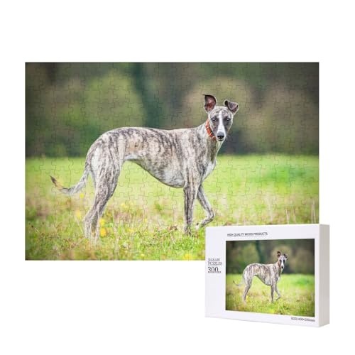 Whippet-Hunde Rasenhunde Graue Hunde Haustiere, Puzzle 300 Teile Holzpuzzle Spielzeug Familienspiel Wanddekoration für Erwachsene Teenager von KEDDJI