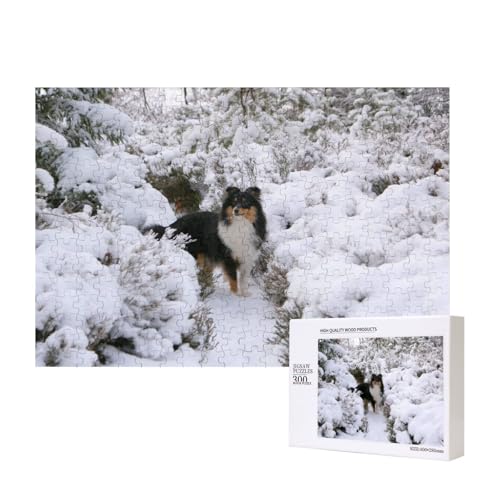 Winter-Sheltie-Hintergrundbild, Puzzle 300 Teile Holzpuzzle Spielzeug Familienspiel Wanddekoration für Erwachsene Teenager von KEDDJI