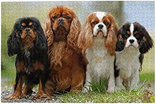 Papery Puzzles 1000 Teile,Cavalier King Charles Spaniel Brain Challenge Puzzle Puzzlespiel Papery Puzzle Nachhaltig Dekorativ Für Teenager Kinder Kinder 70 * 50cm von KESIMO