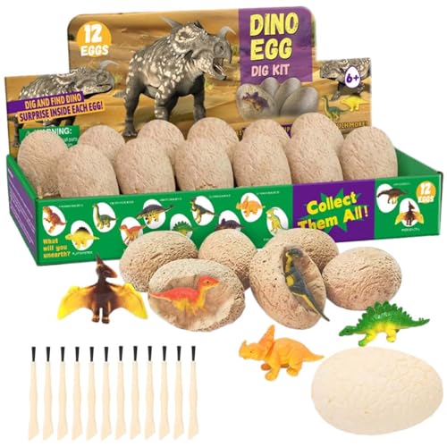 Dino Eier Zum Ausgraben, 12 Stück Dinosaurier Ausgrabungsset Fossilien Ausgrabungsset Kinder Klassenzimmer Requisiten Geburtstags Weihnachts Geschenk Für Dinosaurier Spielzeug Ab 5 Jahre von KFDDRN