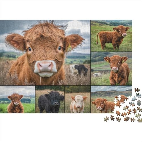 Highland Cow 1000-teiliges Puzzle Für Erwachsene | Highland Cattle | Lustiges Puzzle Für Die Ganze Familie, 1000 Teile, Als Geschenk Für Erwachsene 1000pcs (75x50cm) von KHHKJBVCE