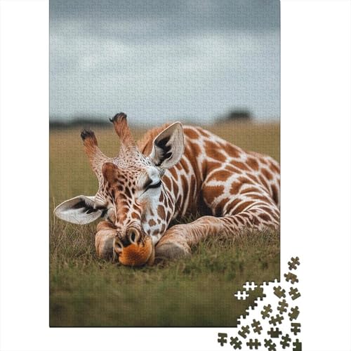 Puzzles 1000 Teile Für Erwachsene Giraffe 1000-teiliges Puzzle. Spielzeug Zum Stressabbau 1000pcs (75x50cm) von KHHKJBVCE