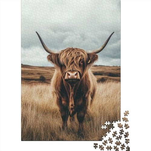 Puzzles Für Erwachsene 1000 Teile Highland Cattle Puzzle 1000 Teile Lernspiele Für Erwachsene 1000pcs (75x50cm) von KHHKJBVCE