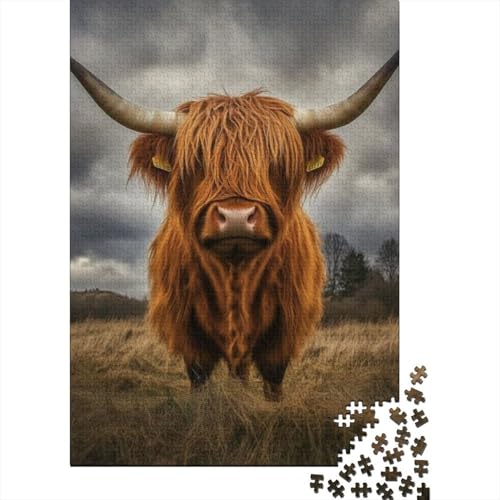 Puzzles Für Erwachsene 500 Teile Highland Cattle 500-teiliges Puzzle. Anspruchsvolles Spiel 500pcs (52x38cm) von KHHKJBVCE