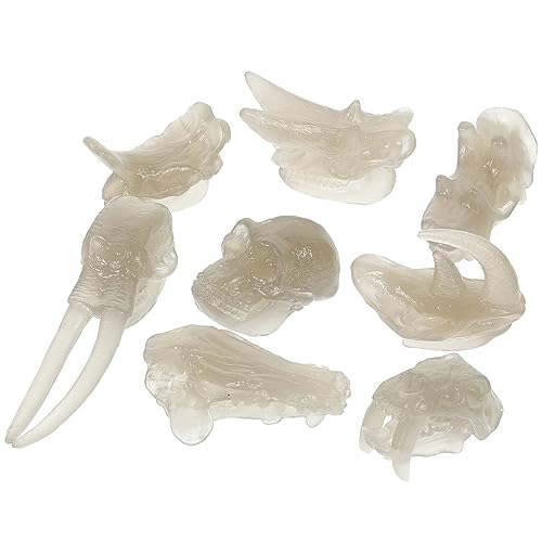 KICHOUSE 1 Satz Leuchtendes Dinosaurierspielzeug Dinosaurier Schädel Dinosaurier-schädel Dinosaurier-knochendekor 3D-Dinosaurier Fossiles Dinosaurierspielzeug Dinosaurierknochen PVC von KICHOUSE