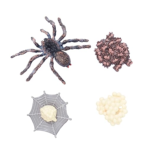 KICHOUSE Tiermodelle Satz für Kinder Simulierte Tiere Lehrmittel für Lebenszyklus Garten Dekoration Pädagogisches Spielzeug KICHOUSE Tiermodelle Satz für Kinder Simulierte Tiere Lehrmittel für Lebenszyklus Garten Dekoration Pädagogisches Spielzeug von KICHOUSE