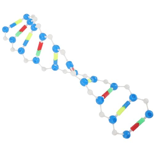 KICHOUSE Komponenten des DNA-doppelhelix-modells Doppelhelix-DNA-Modell DNA-montagemodell DNA-lehrmittel Modell Der Biologischen Wissenschaft Bildungsmodell Klassenunterricht Plastik von KICHOUSE