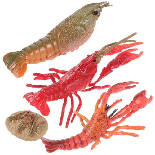 KICHOUSE Lobster Wachstumszyklus Modellspielzeug aus Kunststoff Realistische Tierfiguren Pädagogisches Lernspielzeug Ab Jahren zur Frühkindlichen Biologieerfahrung KICHOUSE Lobster Wachstumszyklus Modellspielzeug aus Kunststoff Realistische Tierfiguren Pädagogisches Lernspielzeug Ab Jahren zur Frühkindlichen Biologieerfahrung von KICHOUSE