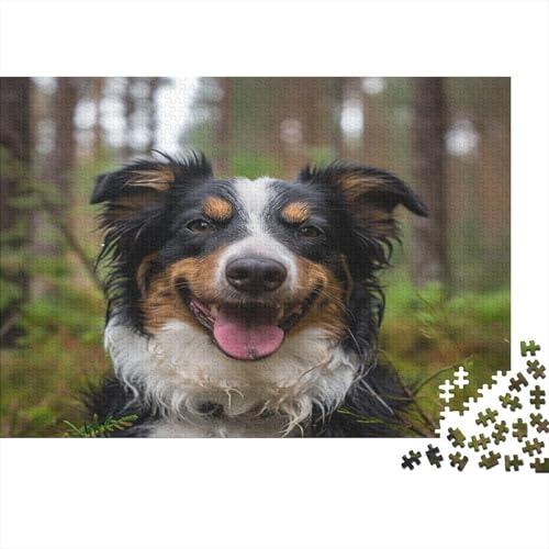 Australischer Schäferhund 1000 Stück Puzzles Für Erwachsene Teenager Stress Abbauen Familien-Puzzlespiel Mit Poster in Voller 1000-teiliges Puzzle Lernspiel Spielzeug Geschenk 1000pcs (75x50cm) von KKOLASXZE