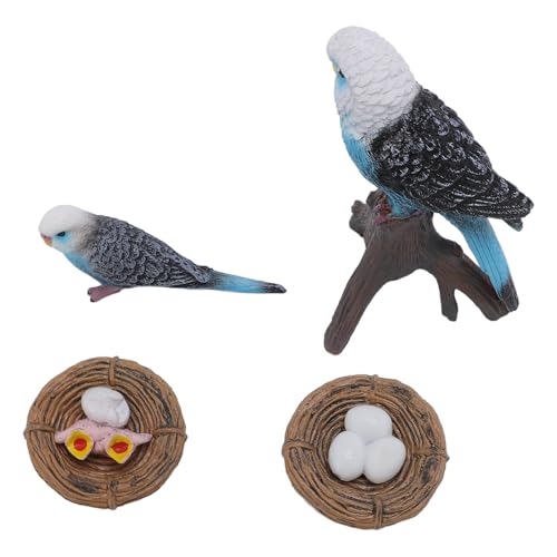 4 PCs Budegerigar -Wachstumszyklus Spielzeug PVC Budgie Figur Pädagogischer Tier Lebenszyklusspielzeug für Kinder von KKPLZZ