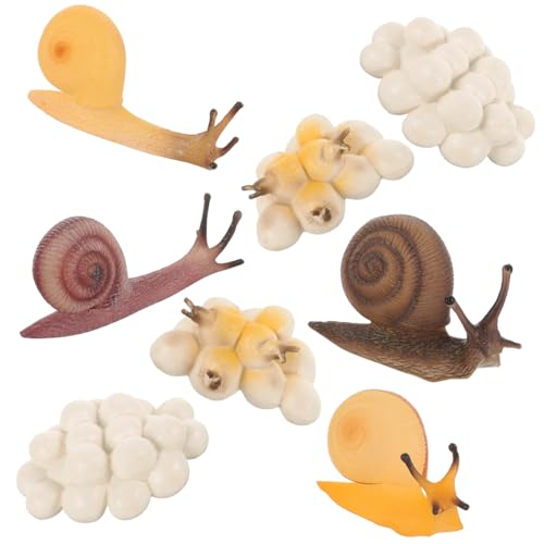 KOMBIUDA 2 Sätze Schnecken Wachstumszyklus Realistische Plastik Schneckenmodelle Lernspielzeug Bildungsfiguren Simulation Lebenszyklus Entwicklung KOMBIUDA 2 Sätze Schnecken Wachstumszyklus Realistische Plastik Schneckenmodelle Lernspielzeug Bildungsfiguren Simulation Lebenszyklus Entwicklung von KOMBIUDA