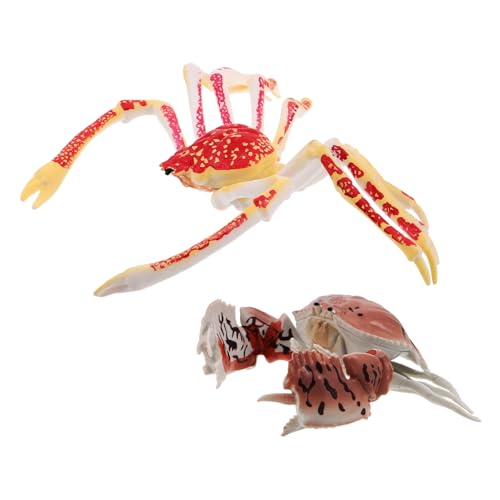 KOMBIUDA 2 Stück Teiliges Krebs PVC Sichere Figur Realistische Mini-krabben für Kleinkinder Kreatives Lernspielzeug und Dekoration für Kinderzimmer und Geburtstagsfeiern KOMBIUDA 2 Stück Teiliges Krebs PVC Sichere Figur Realistische Mini-krabben für Kleinkinder Kreatives Lernspielzeug und Dekoration für Kinderzimmer und Geburtstagsfeiern von KOMBIUDA
