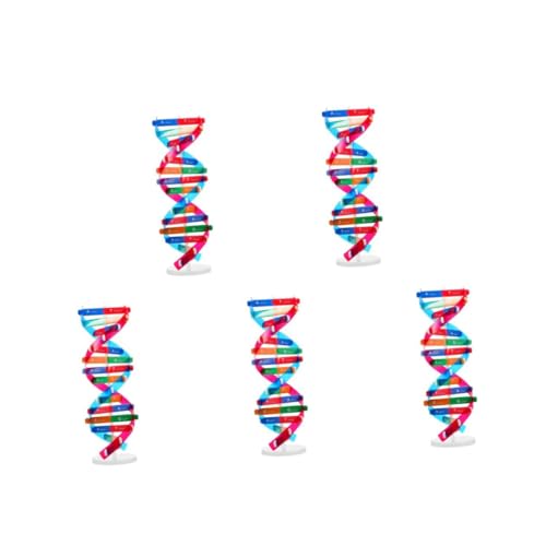 KOMBIUDA 5St DNA-Strukturmodell Bauen Sie EIN Doppelhelix-Modell zusammen Dekor Atom Doppelhelix-Strukturmodell funktionierendes DNA-Modell Die Gene-Lernspielzeug DNA-Displayständer Bambus von KOMBIUDA