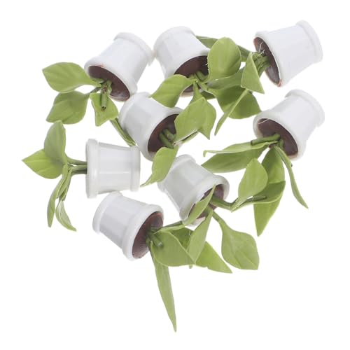 KOMBIUDA 8 Stück Mini Puppenhaus Topfblumen Pflanzen Modell Blumengras Harz Miniaturgras Miniatur Topfpflanzen Miniatur Topfpflanzen Modell Mini Szene Basteln Gras KOMBIUDA 8 Stück Mini Puppenhaus Topfblumen Pflanzen Modell Blumengras Harz Miniaturgras Miniatur Topfpflanzen Miniatur Topfpflanzen Modell Mini Szene Basteln Gras von KOMBIUDA