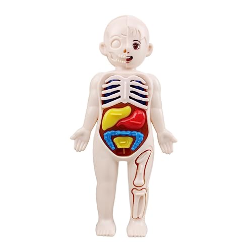 KOMBIUDA Körper Puzzle Teiliges Modell Menschliche Organe Pädagogisches Lernspielzeug für Hand Auge Koordination Verständnis Körperstruktur KOMBIUDA Körper Puzzle Teiliges Modell Menschliche Organe Pädagogisches Lernspielzeug für Hand Auge Koordination Verständnis Körperstruktur von KOMBIUDA