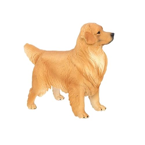 KOMBIUDA Realistisches Hundemodell Golden Retriever Kinderspielzeug Tolles Für Kinder Detaillierte Tierfigur Perfekte Dekoration Und Spielspaß Größe von KOMBIUDA