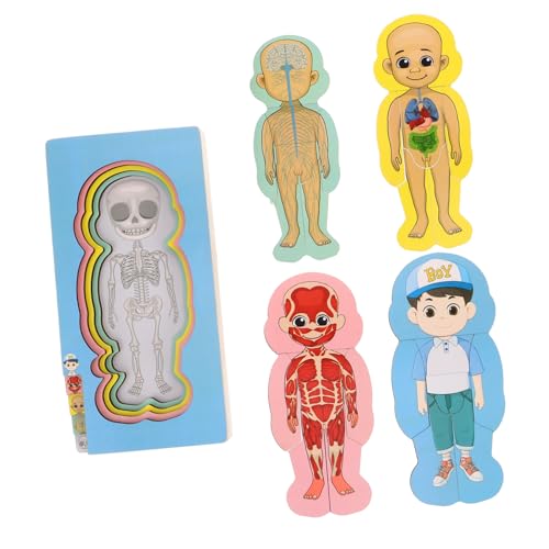 KOMBIUDA Montessori-Spielzeug Aus Holz Für Jungen Und Mädchen Anatomie-Puzzle Kleinkind Frühes Lernspielzeug Pädagogisches Spielzeug-Set von KOMBIUDA