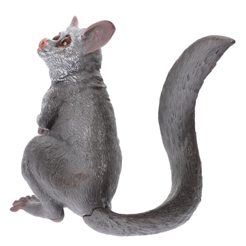 KOMBIUDA Sugar Glider-Modell Lernspielzeug „Sugar Glider“. Gartentierstatue Simulationsmodell Eines Zuckergleiters Zuckersegelflugzeug-tierfiguren Realistische Tierfigur Plastik Grey von KOMBIUDA