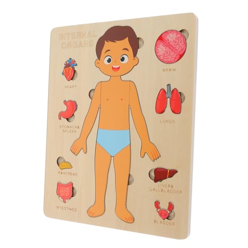 KONTONTY 1 Set Strukturpuzzle Für Den Menschlichen Körper Kinderpuzzles Kinderpuzzles B Werkzeuge Für Früherziehung Lehrmittel Puzzle Für Den Menschlichen Körper Für von KONTONTY