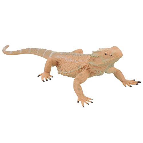 KONTONTY Eidechsenmodell Spielzeug Gefälschtes Eidechsenspielzeug Bartagamen-Spielzeug Eidechsenstatue Aus Kunststoff Reptilienfigur Spielzeug Gecko-Figuren Ornamente Kind Kriechen Plastik von KONTONTY