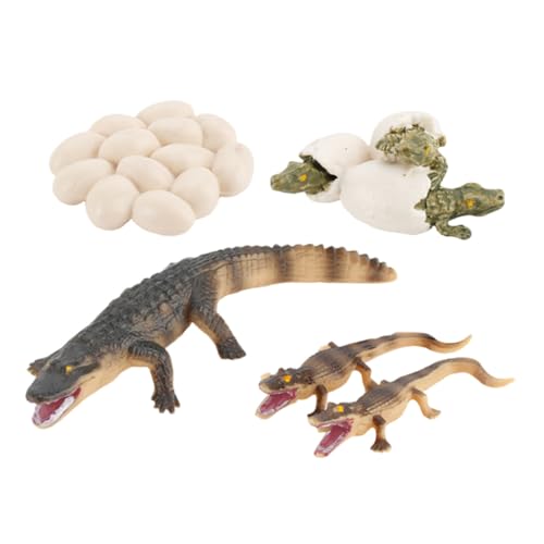 KONTONTY Realistisches Krokodil Wachstumsmodell Kunststoff Lernspielzeug für Pädagogisch Ab Jahren Geeignet für Junge Mädchen Jungen Entwicklungsförderndes Tiermodell KONTONTY Realistisches Krokodil Wachstumsmodell Kunststoff Lernspielzeug für Pädagogisch Ab Jahren Geeignet für Junge Mädchen Jungen Entwicklungsförderndes Tiermodell von KONTONTY