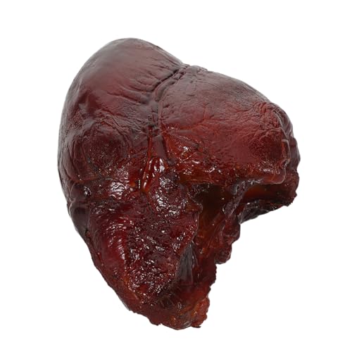 KONTONTY Realistisches Schweineherz Modell Detailgetreues Fake Meat Lebensnahes Spielessen für Restaurantdekoration Küchendisplay und Fotografie Requisiten Vielseitig Einsetzbar KONTONTY Realistisches Schweineherz Modell Detailgetreues Fake Meat Lebensnahes Spielessen für Restaurantdekoration Küchendisplay und Fotografie Requisiten Vielseitig Einsetzbar von KONTONTY