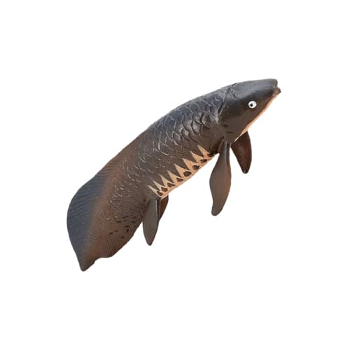 KONTONTY Simulierter Arapaima Ozeanmodell Meerestiermodell- Meerestiere Simulation Von Fischmodellen Meerestierspielzeug Simulation Fischverzierung Plastik von KONTONTY