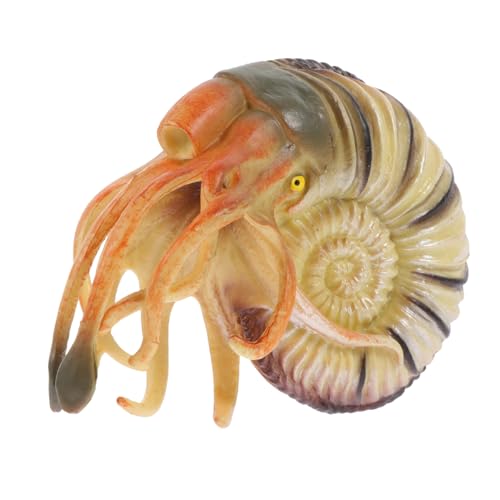 KONTONTY Simuliertes Nautilus Modell aus Strapazierfähigem PVC Realistisches Meeres tierspielzeug für Dekoratives Lernspielzeug für Aquarium Kinderzimmer und Kreatives KONTONTY Simuliertes Nautilus Modell aus Strapazierfähigem PVC Realistisches Meeres tierspielzeug für Dekoratives Lernspielzeug für Aquarium Kinderzimmer und Kreatives von KONTONTY