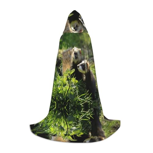 KSANNNS Wildlife Frettchen bedruckter Jugend-Kapuzenumhang, volle Breite, bedruckt, strapazierfähiges Polyester-Spandex-Mischgewebe von KSANNNS