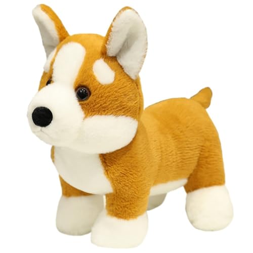 Corgi Hund Plüschtier, Weiches Kuscheltier Hund Kuscheliges Stofftiere Kissen Plüsch Spielzeug Welpenspielzeug Umarmungskissen Für Kinder Corgi Hund Plüschtier, Weiches Kuscheltier Hund Kuscheliges Stofftiere Kissen Plüsch Spielzeug Welpenspielzeug Umarmungskissen Für Kinder von KUKUShining