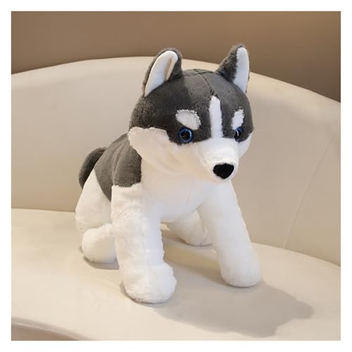 KUKUShining Niedliches Husky-Plüschtier, weicher und entzückender Stofftierhund, Perfekter Begleiter for Kinder, Geschenke und Hundefreunde(Darkgray,50cm/19.8in) von KUKUShining