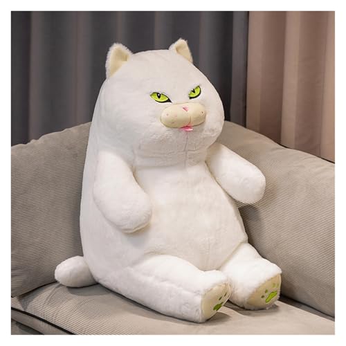 KUKUShining Plüschtier Chubby Cat, Weiche und Süße Stofftierpuppe, Guter Begleiter for Kinder, Ideal Dekoration for Spielzimmer Und Schlafzimmer.(White,60cm/23.6in) von KUKUShining