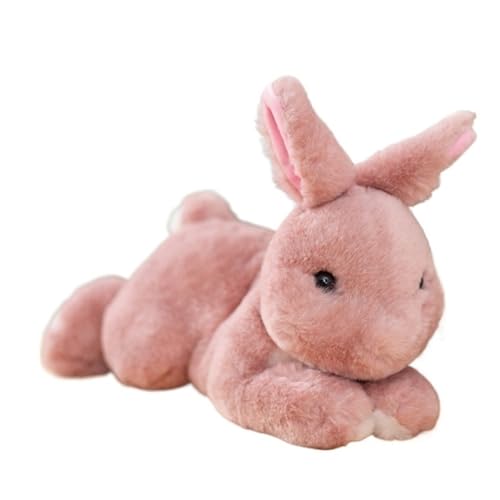 KUKUShining Süßes Häschen Plüschtier, Weiches Kuscheliges Kuscheltier Kaninchen Plüschtier Mit Schlappohren Nachttisch Sofa Jungen Mädchen Kinder Weihnachten Ostern Geburtstag(Pink,50cm/19.6in) von KUKUShining