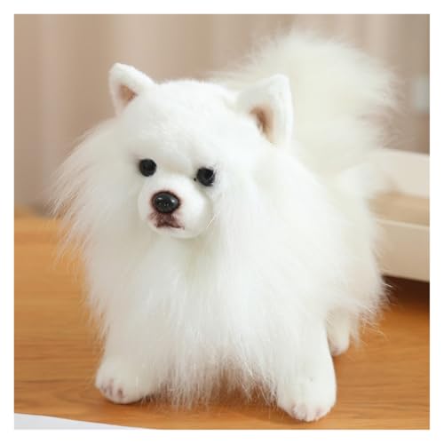 KUKUShining Soft Pomeranian Hund Kuscheltier, 23CM Niedliches Welpen Plüschtier Stofftier Kinder Ideal für gemütliches Spielen und Schlafzimmerdekoratio(WhitePome) von KUKUShining