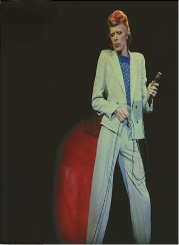 Puzzle 1000 Bowies Sänger Schauspieler DBowie Poster für Erwachsene Lernspielzeug Puzzles Gt132Zw 50x70CM von KUTDE