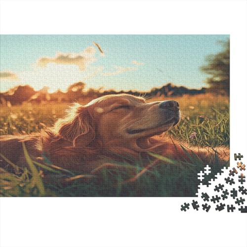 Hund Basking in The Sun 1000pcs (75x50cm) Puzzles,Gras Schwieriges Rätsel,Geschicklichkeitsspiele Für Die Ganze Familie von KWFYBEHZ