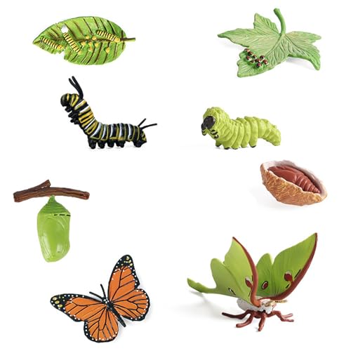 KWJEIULSOQ 8 Stück Schmetterling Motte Lebenszyklus Spielzeugfiguren Kunststoff Tierlebens Raupe zu Schmetterling Wachstumszyklus Insektenerziehung Wachstumszyklus Modell Set für Kinder Lernen von KWJEIULSOQ