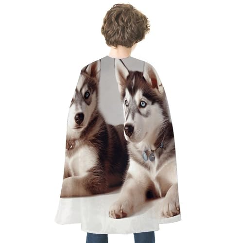 KWQDOZF Halloween Cape Hund Druck Gedruckt Reversible Cape Unisex Mantel Party Capes Halloween Weihnachten Kostüm von KWQDOZF