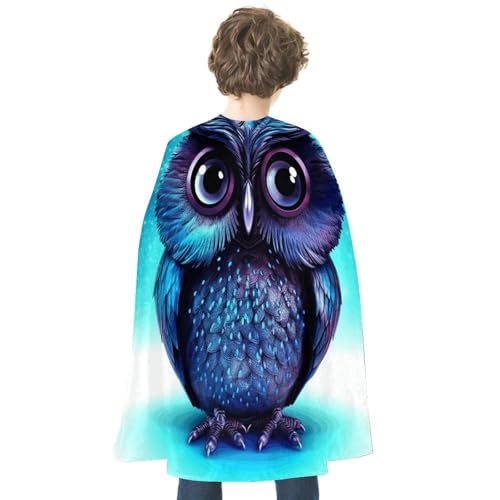 KWQDOZF Halloween Umhang Blaue Eule Bedruckter Wendeumhang Unisex Umhang Party Capes Halloween Weihnachtskostüm von KWQDOZF