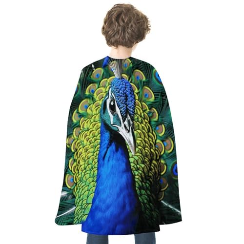 KWQDOZF Halloween Umhang Blauer Pfau Bedruckter Wendeumhang Unisex Umhang Party Capes Halloween Weihnachtskostüm von KWQDOZF