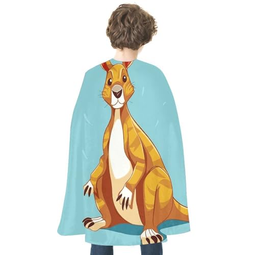 KWQDOZF Halloween Umhang Lustiger Cartoon Känguru Zoo Bedruckter Wendeumhang Unisex Umhang Party Capes Halloween Weihnachtskostüm von KWQDOZF