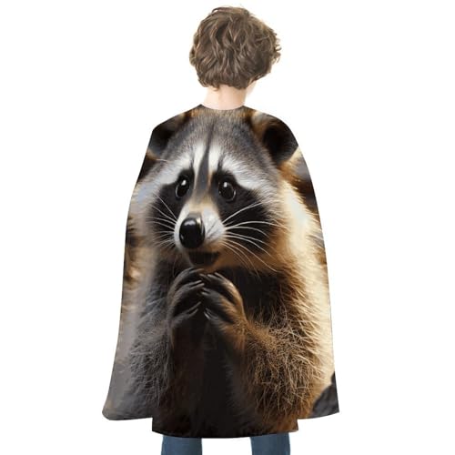 KWQDOZF Halloween Umhang Niedlicher Waschbär Bedruckter Wendeumhang Unisex Umhang Party Capes Halloween Weihnachtskostüm von KWQDOZF