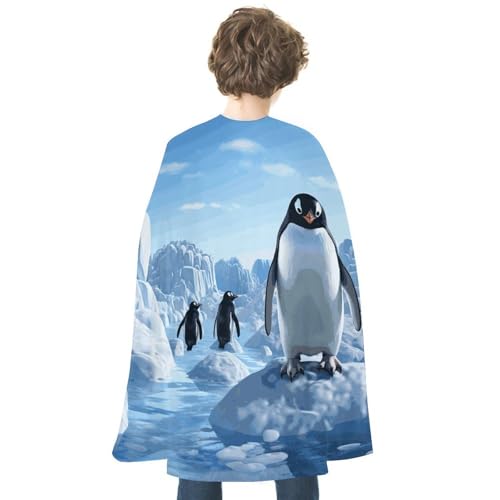 KWQDOZF Halloween Umhang Pinguin Antarktis Eis Bedruckter Wendeumhang Unisex Umhang Party Capes Halloween Weihnachtskostüm von KWQDOZF