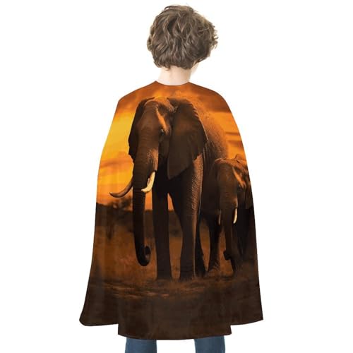 KWQDOZF Halloween Umhang Sonnenuntergang Eltern-Kind Elefant Bedruckter Wendeumhang Unisex Umhang Party Capes Halloween Weihnachtskostüm von KWQDOZF