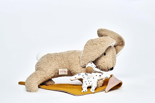 Käthe Kruse Holly Hase I Kleine Plüsch-Hasen-Freundin für Kinder ab 0 Jahre I Waschmaschinenfestes Baumwollfrottee-Kuscheltier inkl. Mini-Püppchen Käthe Kruse Holly Hase I Kleine Plüsch-Hasen-Freundin für Kinder ab 0 Jahre I Waschmaschinenfestes Baumwollfrottee-Kuscheltier inkl. Mini-Püppchen von Käthe Kruse