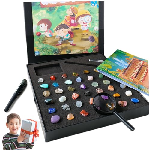 Kalastussaari 43pcs Rocksammlungen für Kinder, 43 Verschiedene Edelsteine ​​für Kinder, Rockkollektion mit Box, Mineral Education Set Science Geschenk für Jungen Mädchen Edelstein für Kinder von Kalastussaari